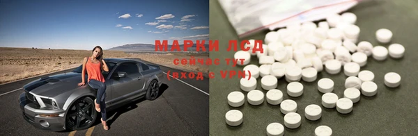 PSILOCYBIN Абдулино