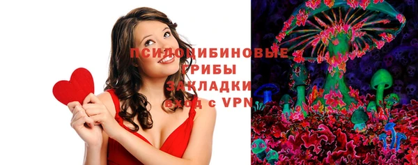 PSILOCYBIN Абдулино
