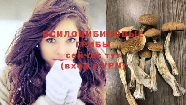 спайс Абинск